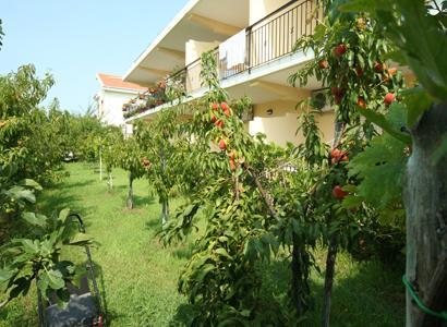 Bed And Breakfast Cirelli Scalea Luaran gambar